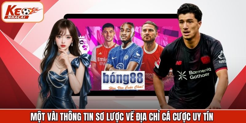 Một vài thông tin sơ lược về địa chỉ cá cược uy tín 