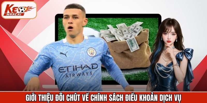 Giới thiệu đôi chút về chính sách điều khoản dịch vụ