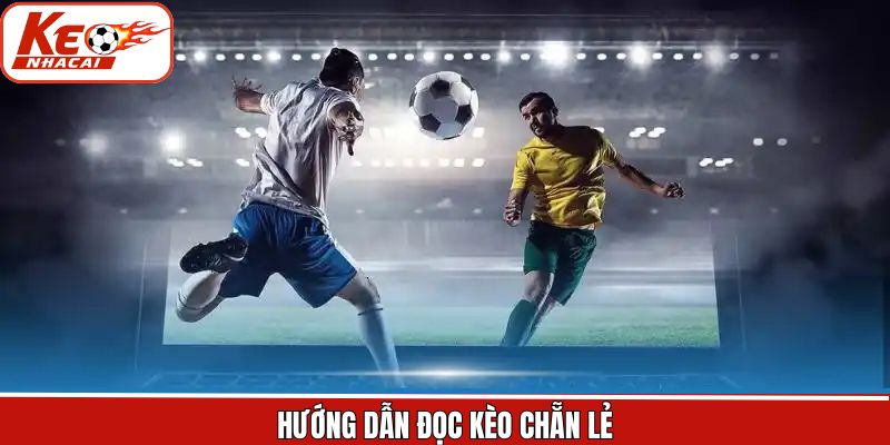 Cách đọc tình huống trong kèo chẵn lẻ cơ bản