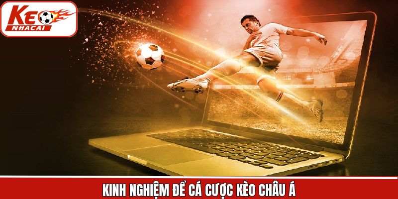 Kinh nghiệm hữu ích khi tham gia vào kèo châu Á thắng lớn