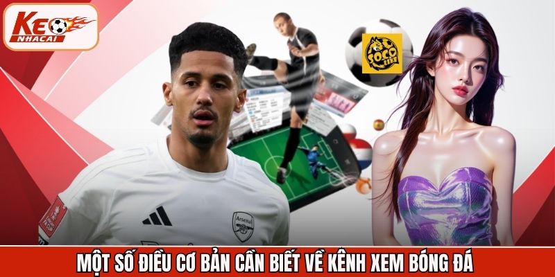 Một số điều cơ bản cần biết về kênh xem bóng đá 