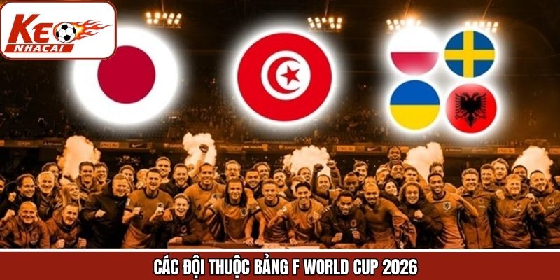 Các ứng viên nổi bật có ở bảng F World Cup 2026