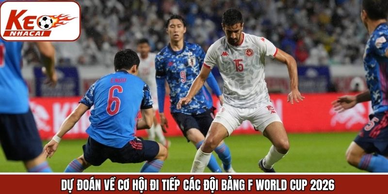 Những cơ hội và dự đoán tại bảng đầu