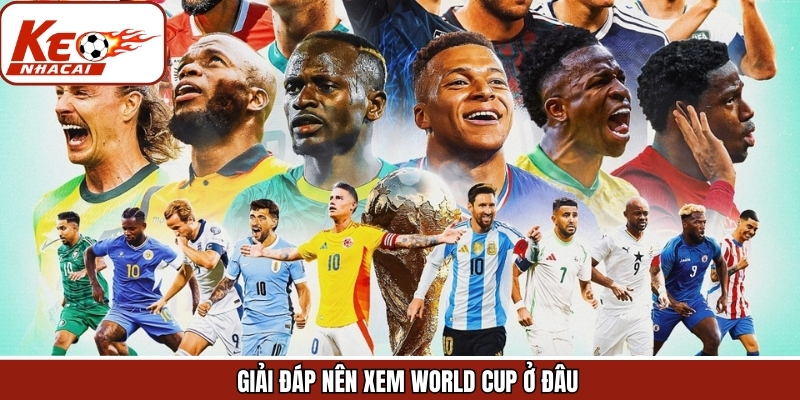 Câu hỏi phổ biến về kênh trực tiếp World Cup