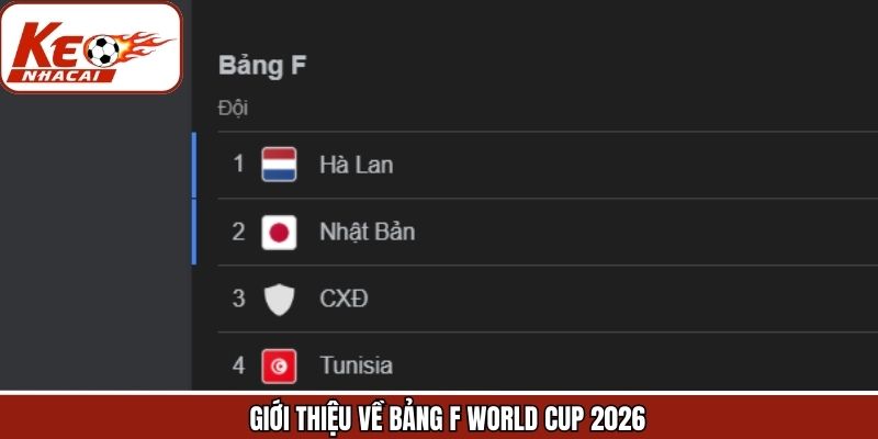Nhìn chung về bảng F tại giải đấu bóng đá toàn cầu