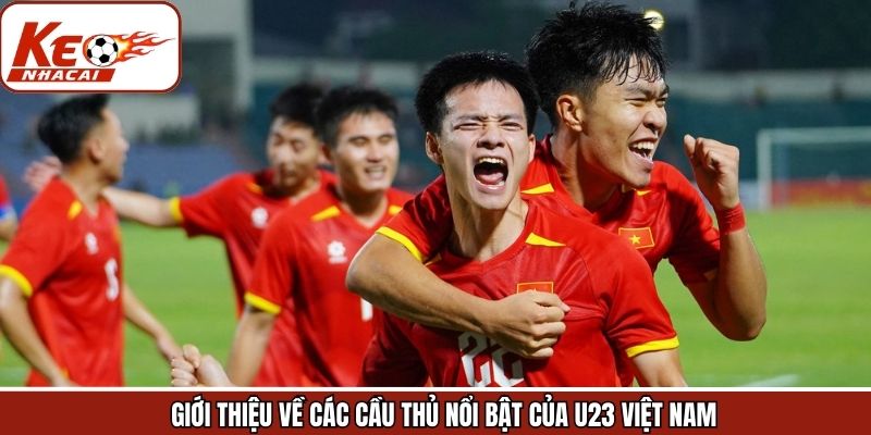 Tổng quan về lứa U23 hiện tại của tuyển Việt Nam