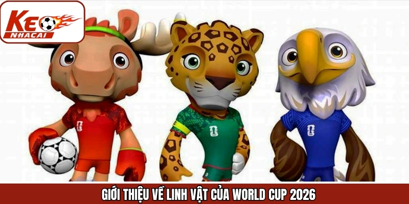 Khám phá thông tin về hình ảnh đáng mong chờ