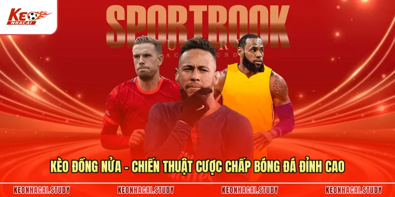 Kèo Đồng Nửa - Chiến Thuật Cược Chấp Bóng Đá Đỉnh Cao