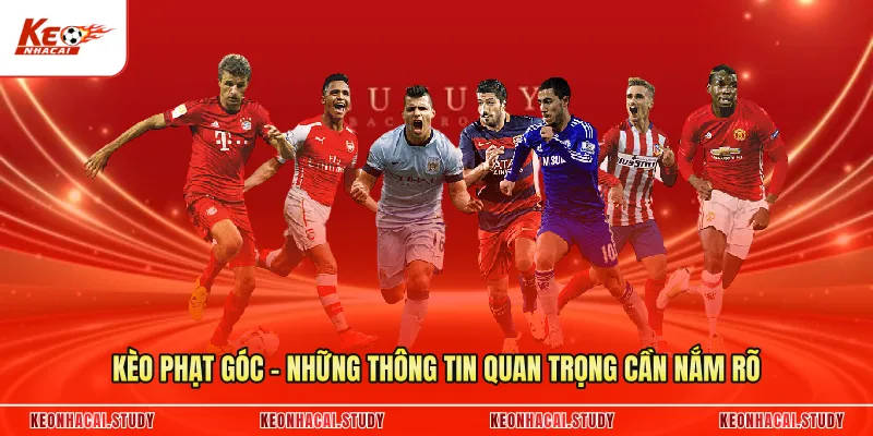 Kèo Phạt Góc - Những Thông Tin Quan Trọng Cần Nắm Rõ