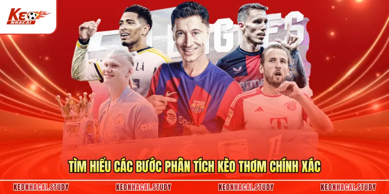 Tìm hiểu các bước phân tích kèo thơm chính xác
